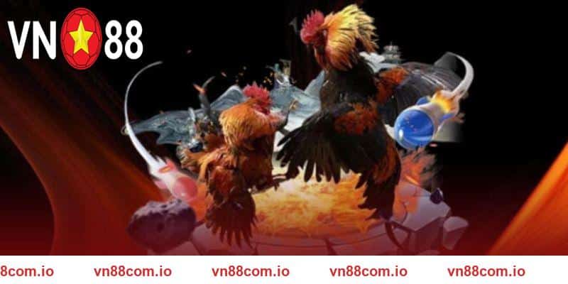 Đá gà SV388 được đông đảo người chơi yêu thích tại VN88